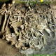 Skeletons.